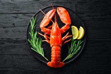 The Most Important Reasons You Should Eat Lobster